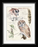 Wildlife Journals I Framed Print