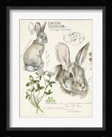 Wildlife Journals II Framed Print
