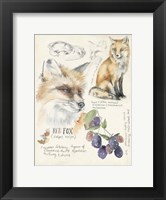 Wildlife Journals III Fine Art Print