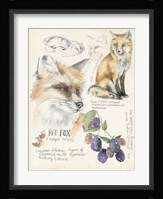 Wildlife Journals III Framed Print