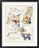 Wildlife Journals III Framed Print