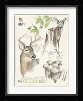 Wildlife Journals IV Framed Print