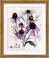 Purple Wildflowers II Fine Art Print