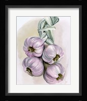 Garlic Braid I Framed Print