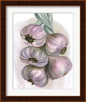 Garlic Braid II Fine Art Print