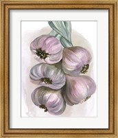 Garlic Braid II Fine Art Print