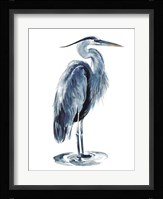 Blue Blue Heron I Framed Print