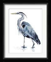 Blue Blue Heron II Framed Print