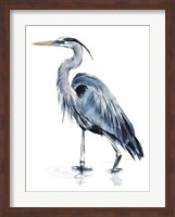 Blue Blue Heron II Fine Art Print