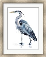 Blue Blue Heron II Fine Art Print