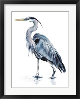 Blue Blue Heron II Framed Print