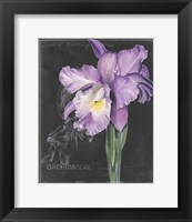 Chalkboard Flower II Fine Art Print