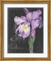 Chalkboard Flower II Fine Art Print