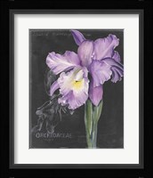 Chalkboard Flower II Framed Print