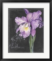 Chalkboard Flower II Framed Print