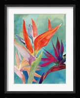 Vivid Birds of Paradise I Fine Art Print