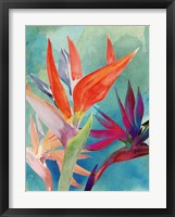 Vivid Birds of Paradise I Fine Art Print