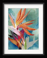 Vivid Birds of Paradise II Framed Print