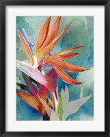 Vivid Birds of Paradise II Fine Art Print