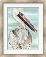 Turquoise Pelican I Fine Art Print