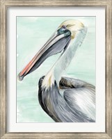 Turquoise Pelican II Fine Art Print