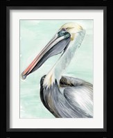Turquoise Pelican II Fine Art Print
