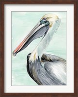 Turquoise Pelican II Fine Art Print
