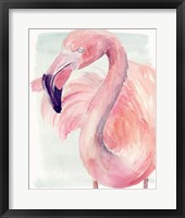 Pastel Flamingo I Framed Print
