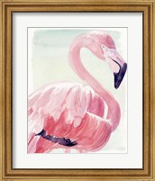 Pastel Flamingo II Fine Art Print
