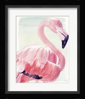 Pastel Flamingo II Framed Print