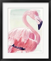 Pastel Flamingo II Framed Print