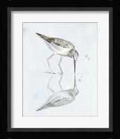Sandpiper Reflections I Fine Art Print