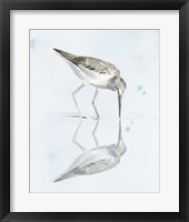 Sandpiper Reflections I Framed Print