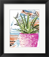 Zebra Succulent I Fine Art Print