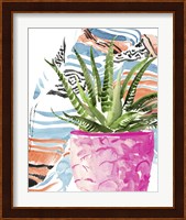 Zebra Succulent I Fine Art Print