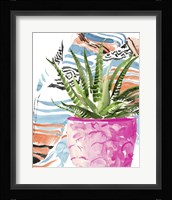 Zebra Succulent I Framed Print