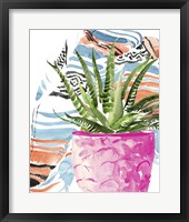 Zebra Succulent I Framed Print