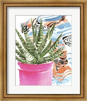 Zebra Succulent II Fine Art Print