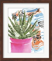 Zebra Succulent II Fine Art Print