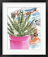Zebra Succulent II Framed Print