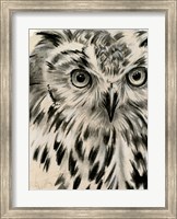 Charcoal Owl I Fine Art Print