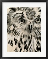 Charcoal Owl I Framed Print