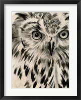 Charcoal Owl I Framed Print