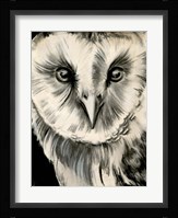 Charcoal Owl II Framed Print