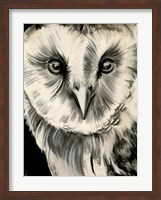 Charcoal Owl II Fine Art Print