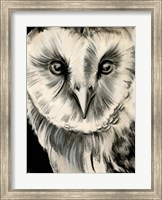 Charcoal Owl II Fine Art Print