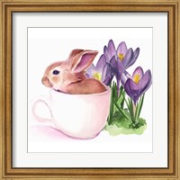 Bunny Crossing I Fine Art Print
