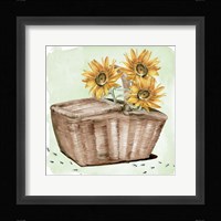 Summer Picnic II Framed Print