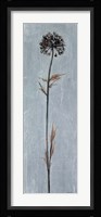 Cool Botanicals I Fine Art Print