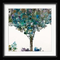 Shadowplay Fine Art Print